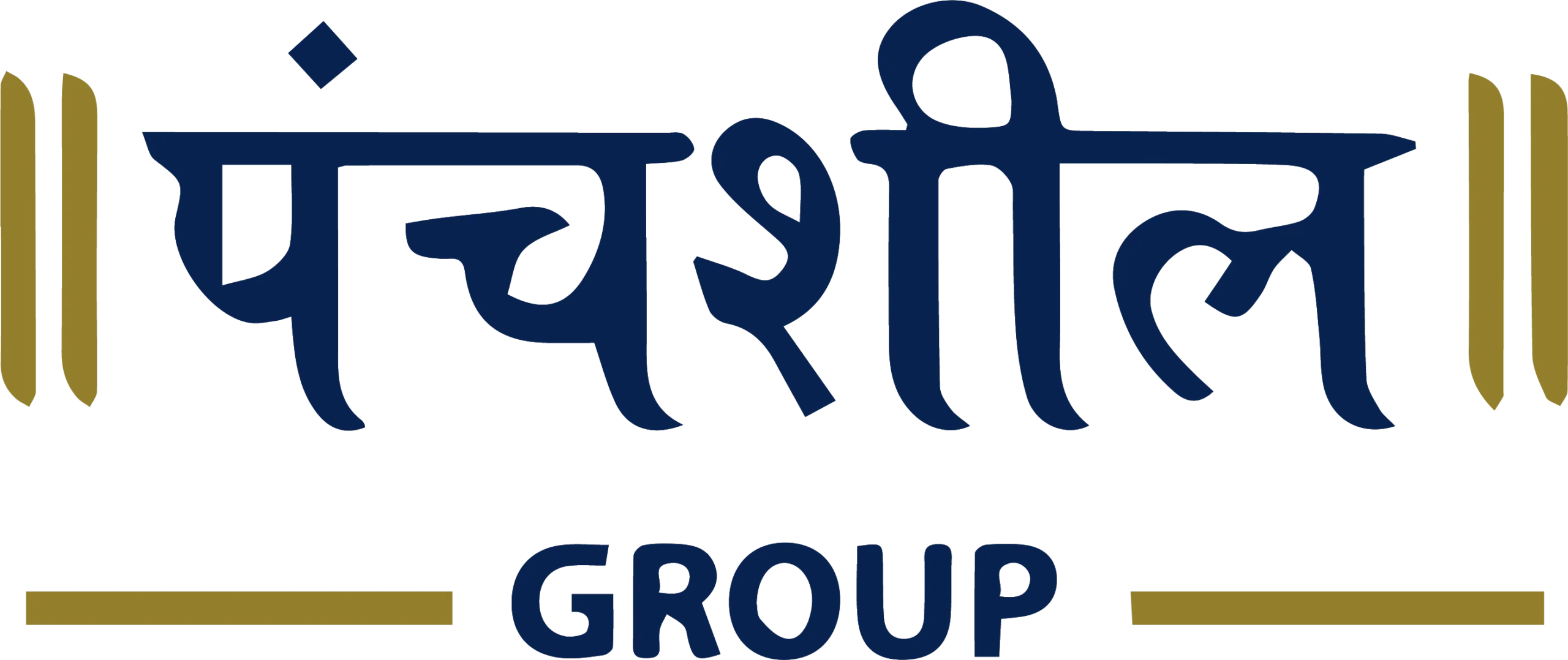 panshil-blue-logo